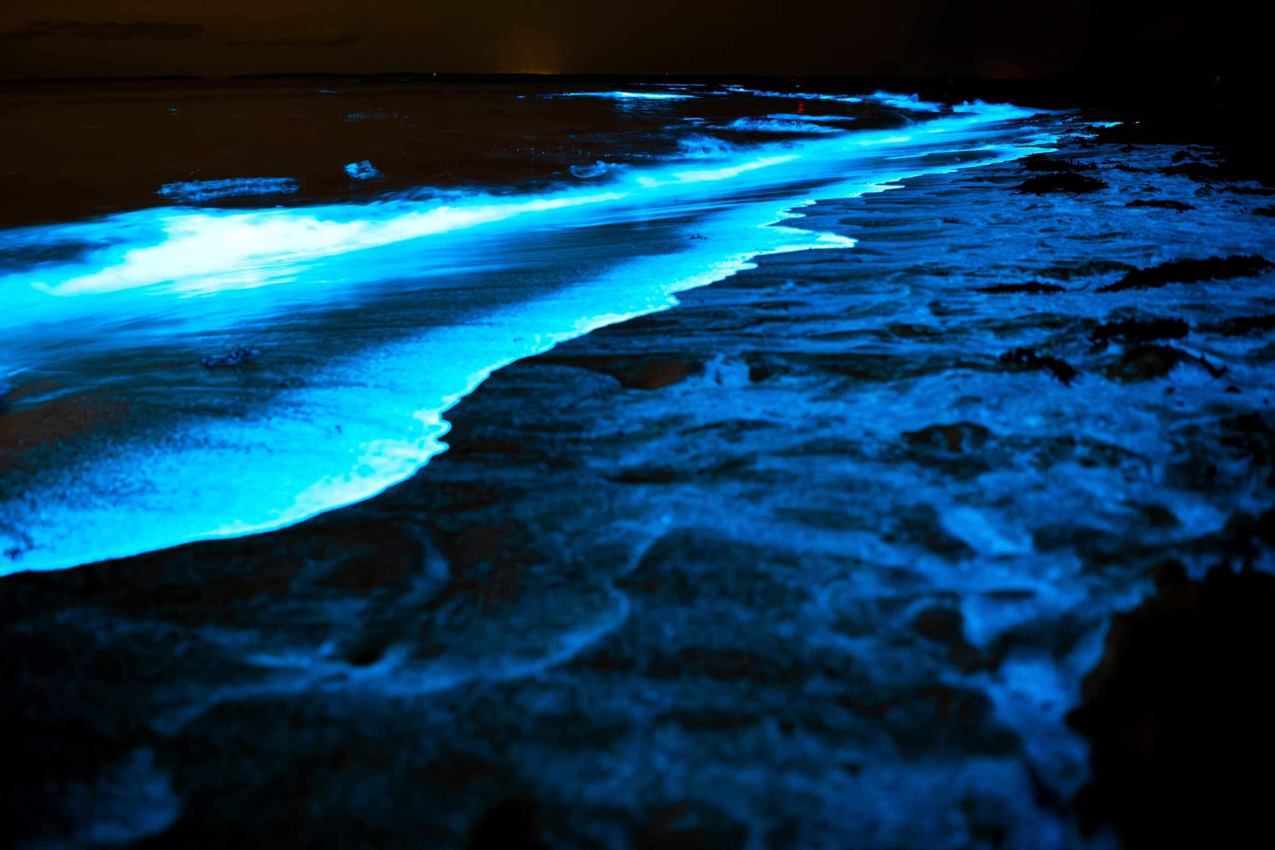Die Wellen des Ozeans leuchten nachts blau.